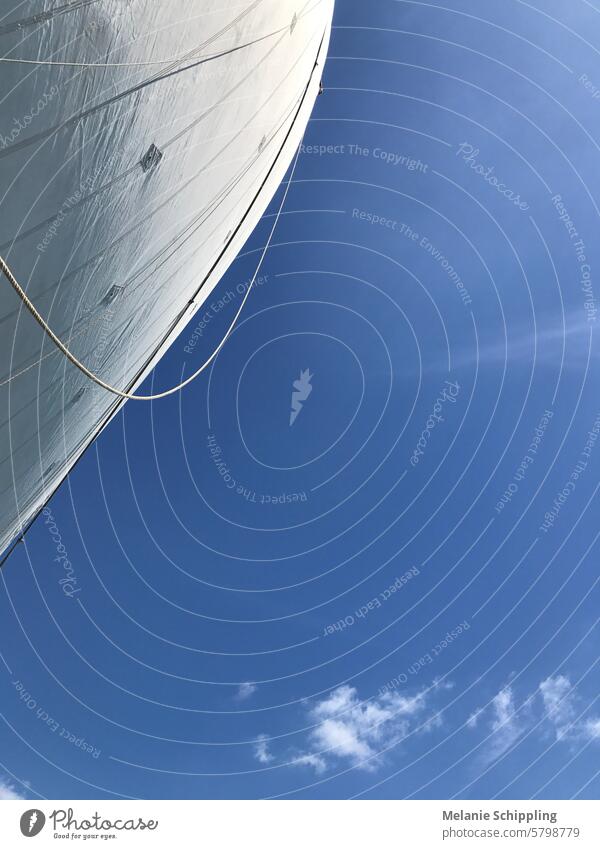 White sail in front of a blue sky Sail Sailing Sailboat Sky Blue Sailing ship Ocean Sailing trip Adventure Sailing vacation Navigation Vacation & Travel Water