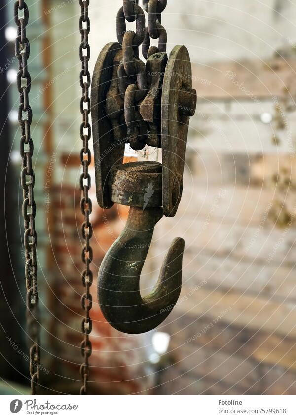 This thick hook hasn't lifted anything for a long time. It has been hanging there for many years, rusting away. Checkmark Metal rusty Rust Chain Old Detail