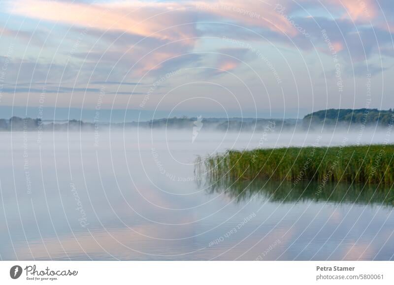 Fog over the lake Lake Water Calm Morning Nature Sky Environment Idyll Landscape Lakeside Exterior shot Colour photo Relaxation Clouds Deserted Surface of water