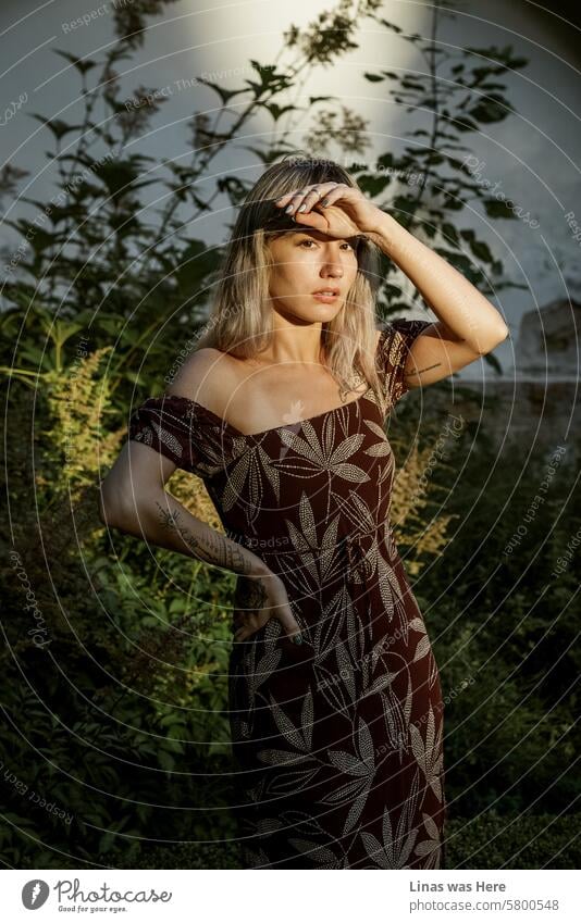 On such a beautiful morning, a pretty inked girl in a summer dress is posing flawlessly. Such a stunning blonde model in a green park. Some sun rays catch her pretty face.