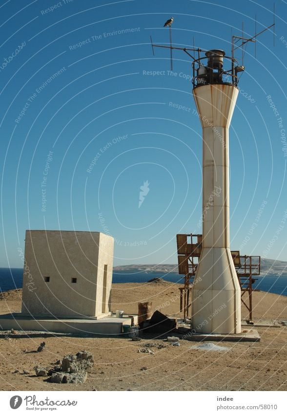 beacons Lighthouse Beacon White-tailed eagle Blue sky Island