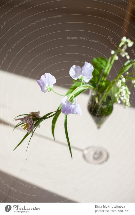 purple lilac color flowers on sunny beige background aesthetic floral image blossom Violet romantic Nature Spring Fragrance Lilac lilac blossom fragrant