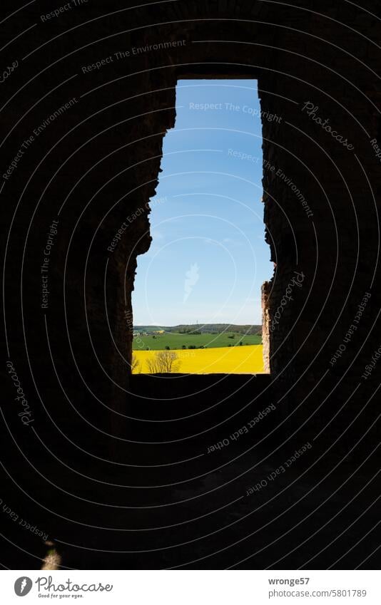 Castle view outlook Vantage point Enjoy the view Castle ruin Landscape Oilseed rape flower Canola field Wheatfield Horizon Blue sky window opening Sky Field