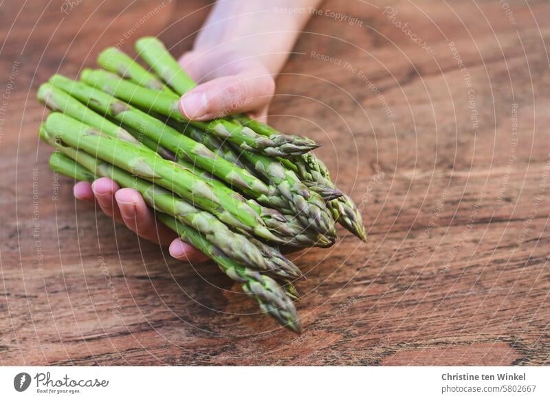 a bunch of green asparagus Asparagus Vegetable Food Asparagus season asparagus spears Nutrition Hand Food photograph asparagus season vegetable asparagus