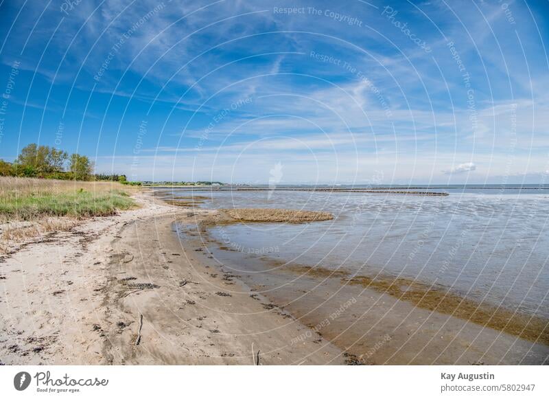 On the wading bank Wadden Sea National Park off Keitum Mud flats Sylt Sylt island Landscape North Sea coast Island Nature reserve Sylt Island Sylt landscape