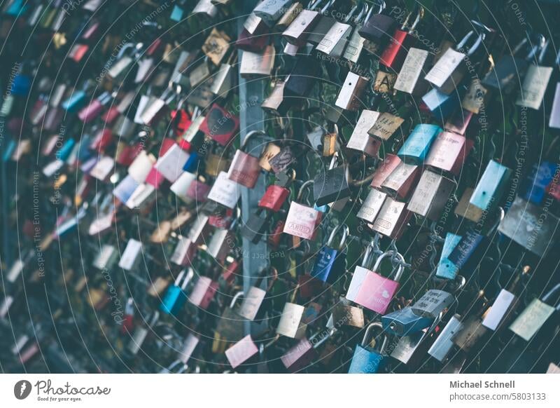 Love locks on a bridge Love Locks Romance Love padlock Display of affection Infatuation Declaration of love Emotions Relationship Loyalty Together Happy Sign