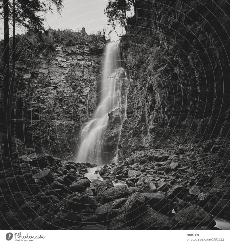 cascade Landscape Sky Tree Bushes Forest Rock Mountain Canyon Waterfall Deserted Black White Flow stones Black & white photo Exterior shot Day Contrast