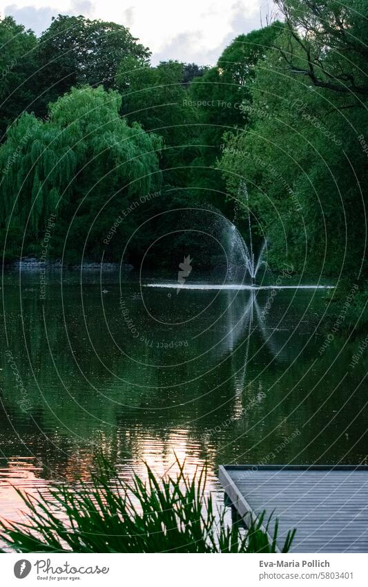 Fountain in the city park of Lund, Sweden Scandinavia southern Sweden Park Water Pond Lake bank Well evening light Twilight Sunset Evening To go for a walk