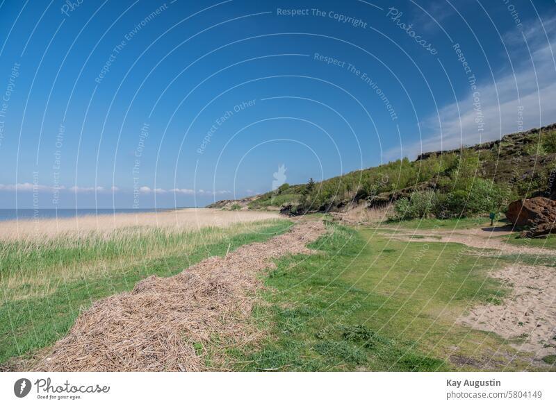 Morsum cliff Morsum-Kliff nature reserve Nature reserve Landscape Exterior shot Sky Sylt North Sea Mud flats National Park Wadden Sea National Park