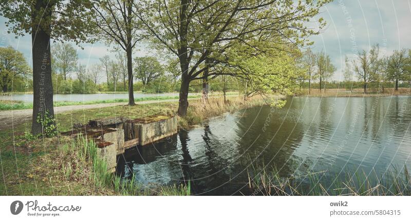 On the surface Lake Pond Fishpond Fish breeding Colour photo Exterior shot Water Deserted Landscape Idyll Peaceful Calm Water reflection trees tranquillity Sky