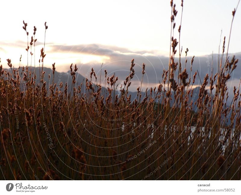 evening mood Sunset Field Straw Grass Clouds Mountain