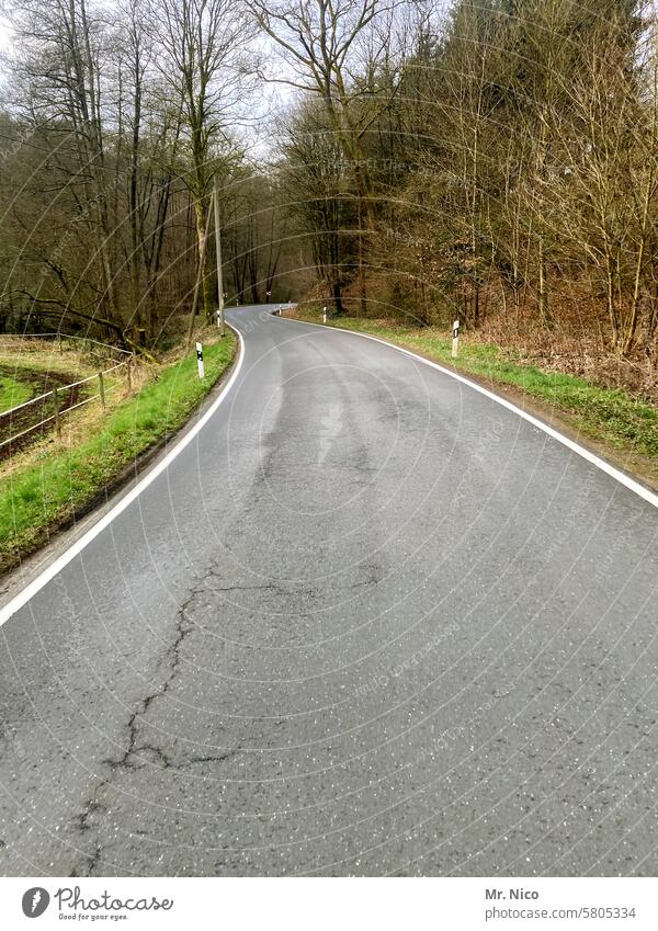 highway Country road Lanes & trails Traffic lane Pavement In transit Out of town Forest Empty road course Roadside Road traffic Motoring on the road road trip