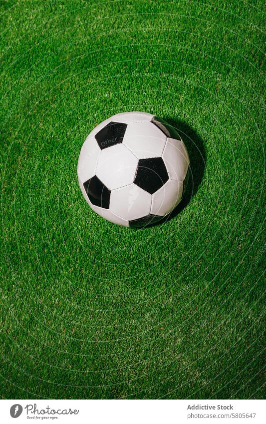 Soccer ball resting on green grass field soccer football sport game play sunlight shadow lush texture outdoor equipment leisure activity spherical round black