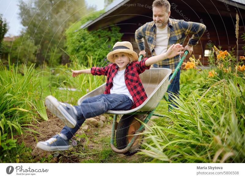 Wheelbarrow pushing by dad in domestic garden on warm sunny day. Active outdoors games for family with kids in the backyard wheelbarrow fun child work father