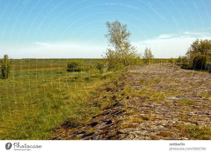 Hiddensee - Old dike at Gellen holidays Far-off places Spring greaves Horizon Island kloszer Mecklenburg Ocean MV nezuendorf Baltic Sea voyage Longing Summer