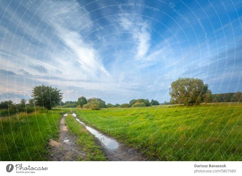 Dirt road through green meadow and white clouds on blue sky, summer in Nowiny, eastern Poland rural idyllic dirt landscape field country grass view path