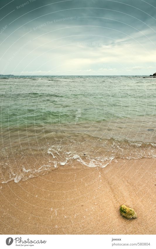 You seek the sea Nature Water Sky Clouds Horizon Summer Ocean Island Stone Sand Infinity Beautiful Blue Brown Green Calm Hope Wanderlust Loneliness Idyll