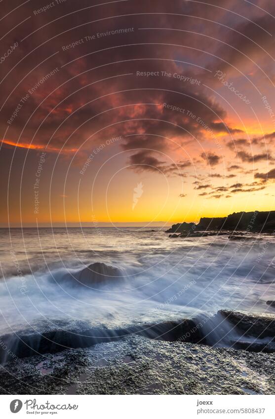 Seascape with calm, orange-red sky, rocks in the foreground, long exposure Ocean coast Rock Waves Summer Sky Water Clouds Exterior shot Deserted