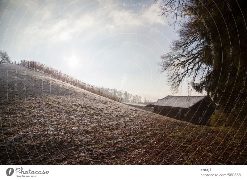 slope Environment Nature Landscape Autumn Winter Fog Ice Frost Meadow Field Cold Natural Slope Hill Colour photo Subdued colour Exterior shot Deserted Day