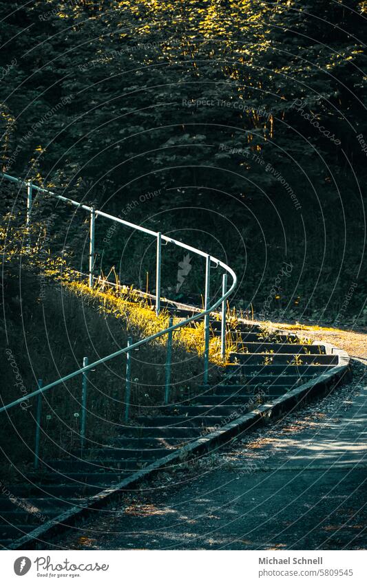 STEEPLY UPWARDS Stairs stair treads rail Banister Upward Downward Go up Descent right and left Directions undecided Undecided Structures and shapes