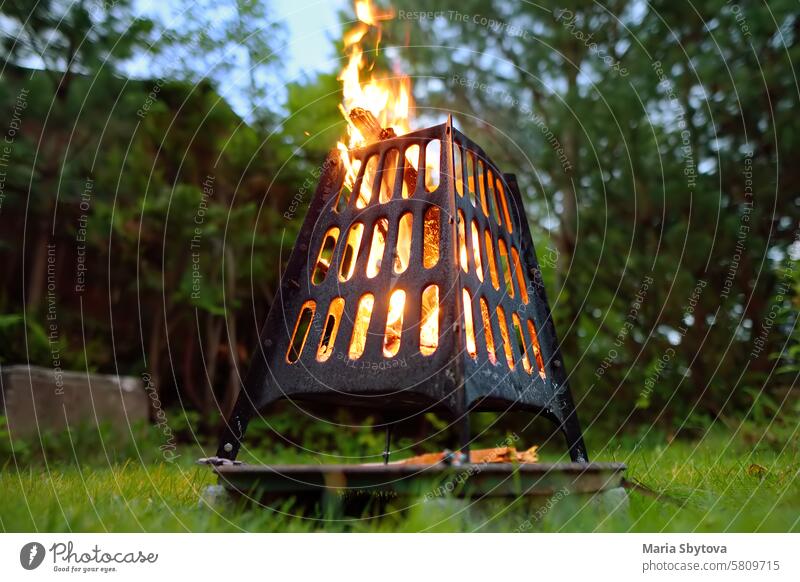 A burning a bonfire in a fire bowl on a summer evening in the backyard. Burning firewood in a fire bowl. flames fun garden barbecue holidays house village