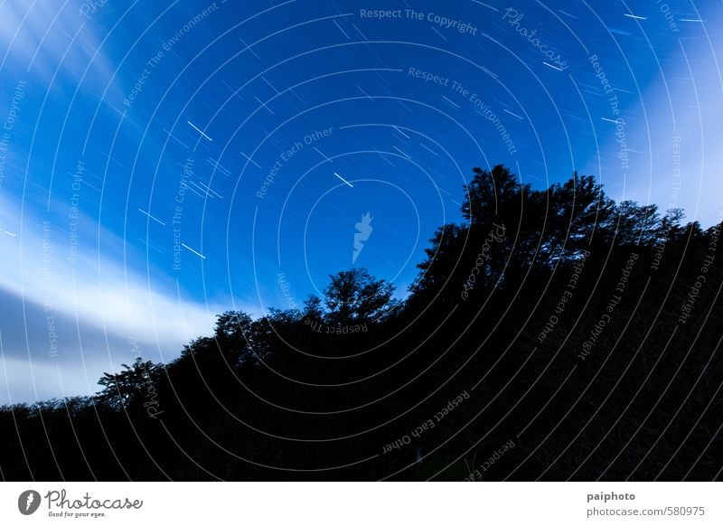 stars trail in the woods Mountain Patagonia Pristine Pure Remote Sky Vacation & Travel Alps Climate Clouds Colour photo Long exposure Far-off places Environment