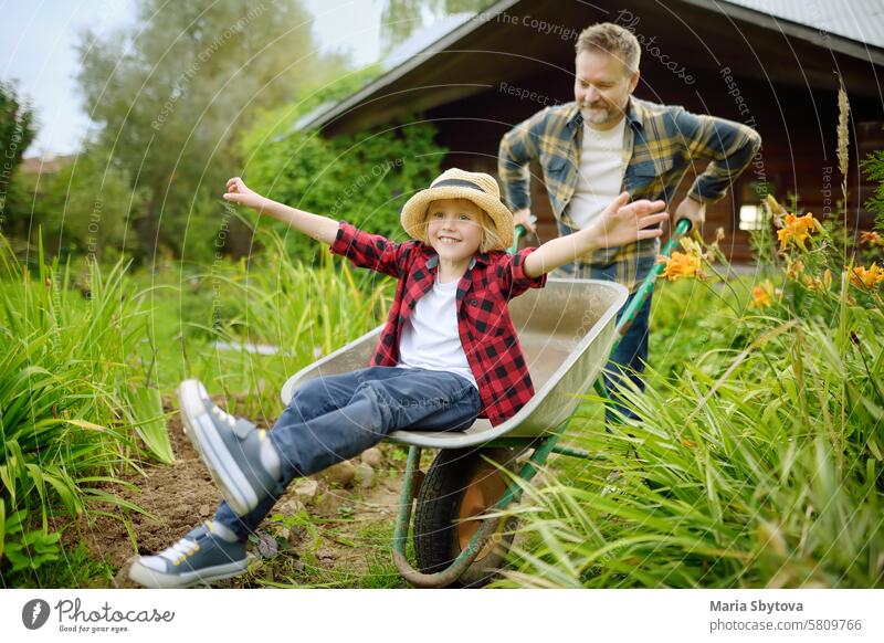 Wheelbarrow pushing by dad in domestic garden on warm sunny day. Active outdoors games for family with kids in the backyard wheelbarrow fun child work father