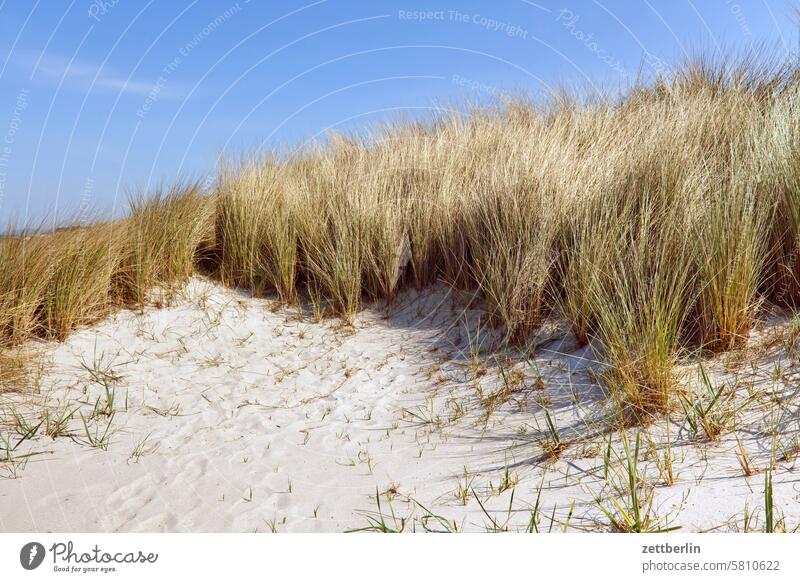 Hiddensee - Sandy beach again holidays Far-off places Spring greaves Horizon Island kloszer Mecklenburg Ocean MV Neuendorf Baltic Sea voyage Longing Summer Sun