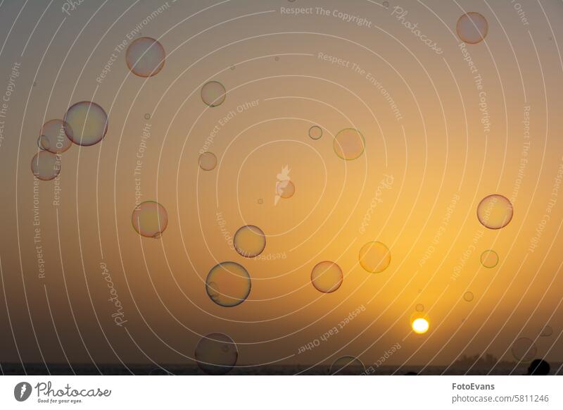 Lots of soap bubbles in the sky at sunset reflection abstract rainbow colors liquid play of colors background orange air bubble burst shiny outside outdoors