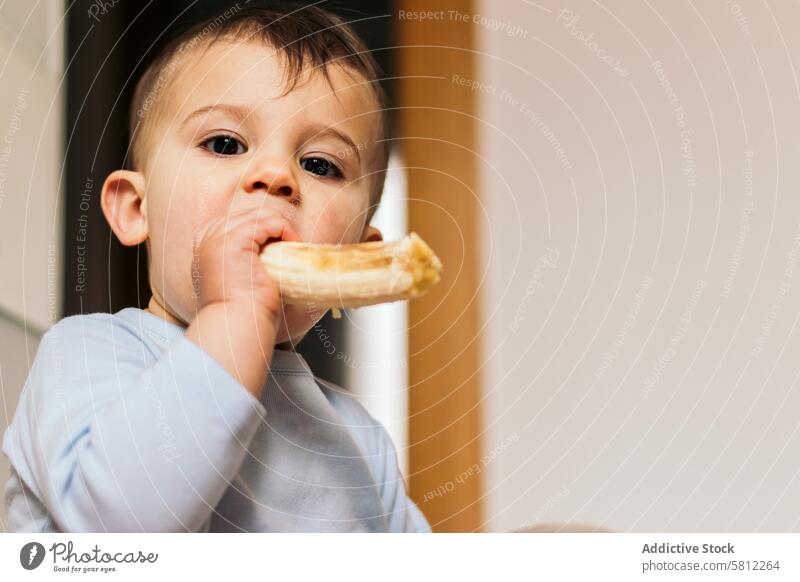 cute baby eating a banana at home food kid child healthy little fruit happy toddler childhood adorable girl meal breakfast hungry sweet young portrait beautiful