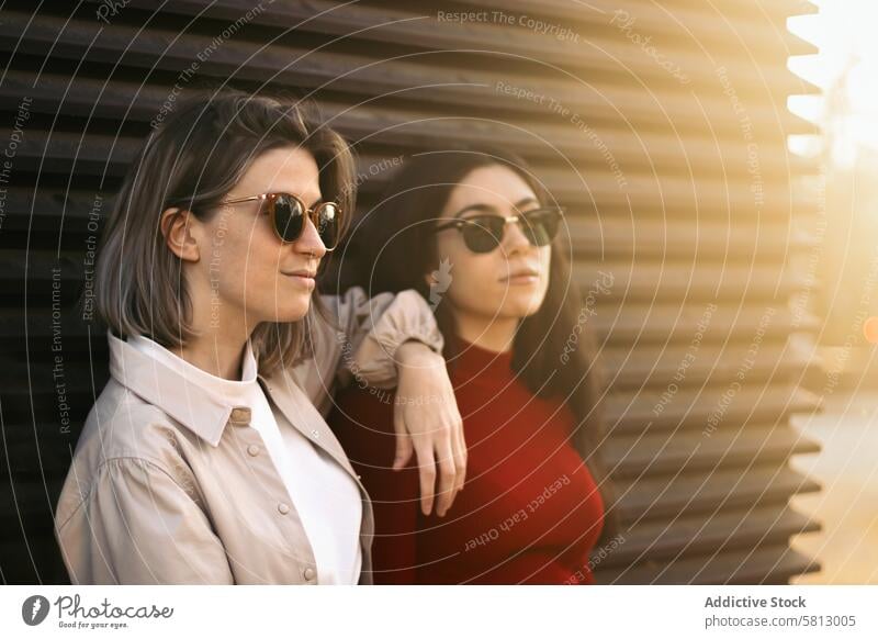 Two women portrait from the side with sunlight woman people young two female love happy couple outdoors together summer smiling happiness adult two people