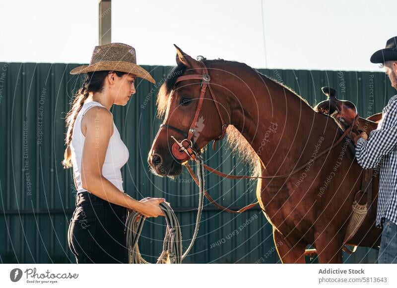 Woman taking care of his brown horse in an equestrian center woman nature animal farm equine groom stable stallion ranch livestock friend pet mammal barn