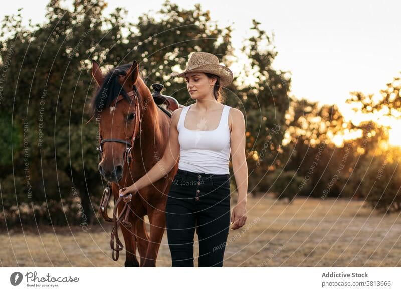 Young woman in hat walking with her horse in the countryside at sunset nature young animal ranch cowgirl cowboy person equine riding beautiful equestrian pet