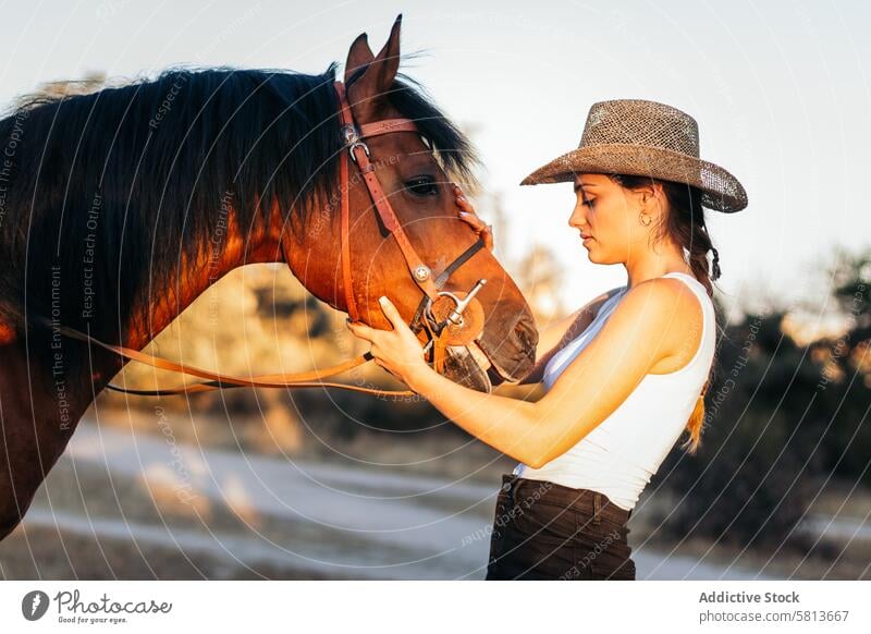 Young woman in hat walking with her horse in the countryside at sunset nature young animal ranch cowgirl cowboy person equine riding beautiful equestrian pet