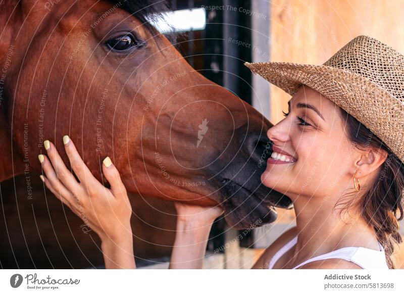 Woman taking care of his brown horse in the stable woman nature animal equestrian farm equine groom stallion ranch livestock friend pet mammal barn beautiful