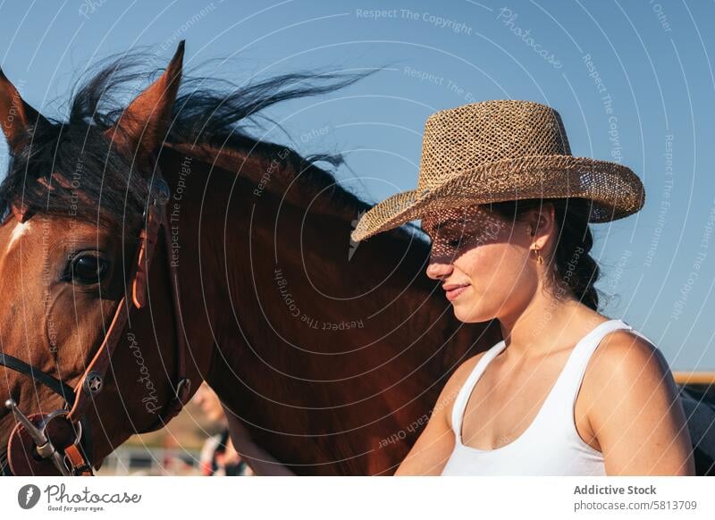 Woman taking care of his brown horse in an equestrian center woman nature animal farm equine groom stable stallion ranch livestock friend pet mammal barn