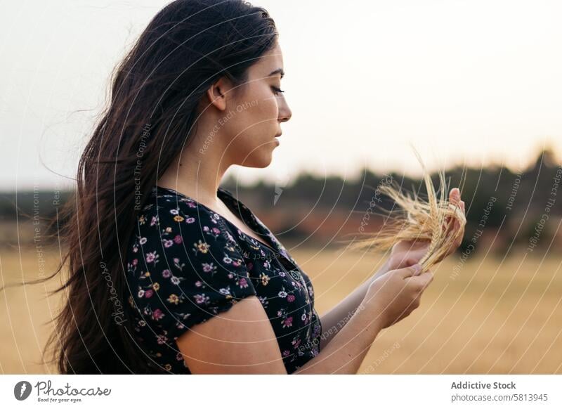 Portrait of a pretty young woman with long hair in the countryside sunflower nature field people summer agriculture outdoor yellow happy landscape background