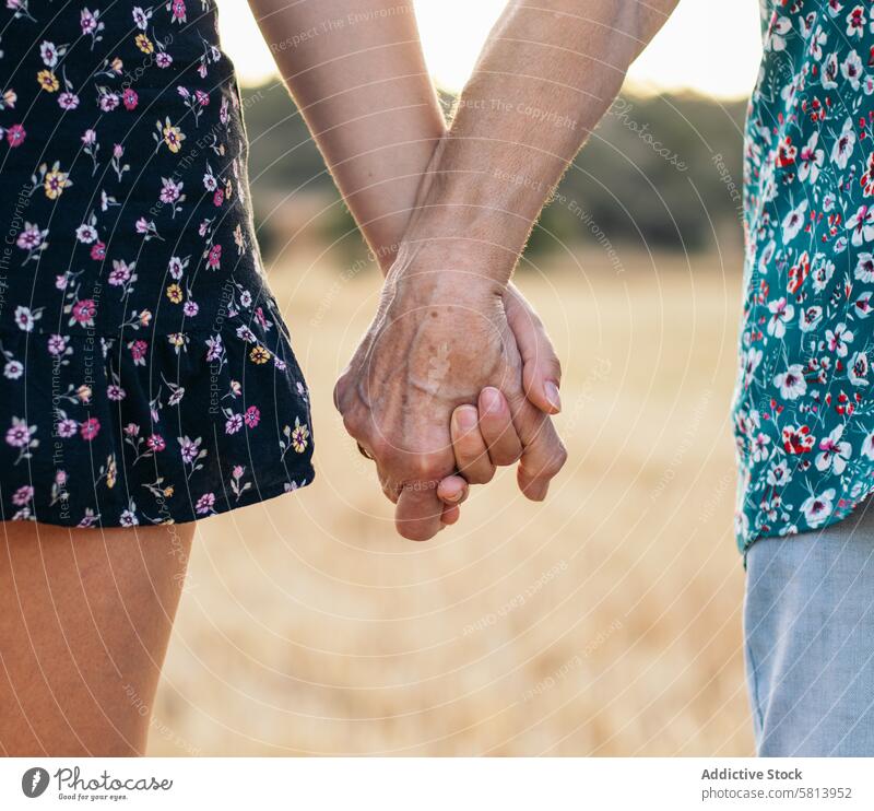 Two Generations Of Women Hold Hands: Grandmother And Granddaughter Holding Hands sunflower woman elderly nature field people summer agriculture outdoor yellow