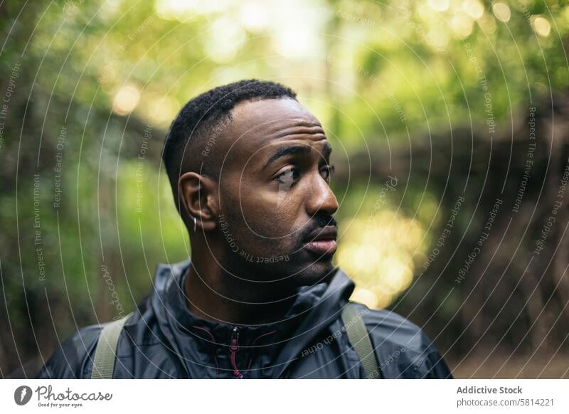 Man looking away in the jungle forest portrait outdoors nature male lifestyle people vacation leisure hiking tree travel backpack autumn handsome adventure