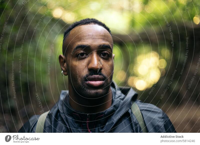 Portrait of a man in the forest portrait outdoors nature male lifestyle people vacation leisure looking hiking tree travel backpack autumn handsome adventure