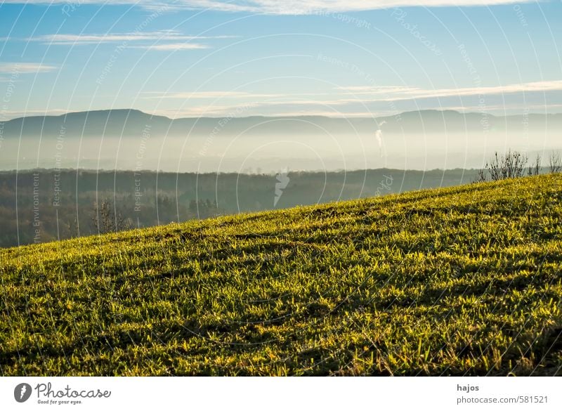 Swabian Alb in the fog Beautiful Tourism Nature Clouds Sun Winter Weather Fog Meadow Blue Green White Environmental protection High fog Haze Foreground Sky