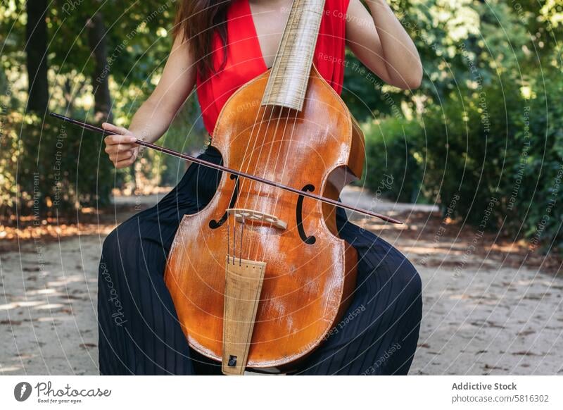 Woman playing the cello in a park. musician woman instrument concert performance artist musical outdoors classical entertainment orchestra melody symphony sound