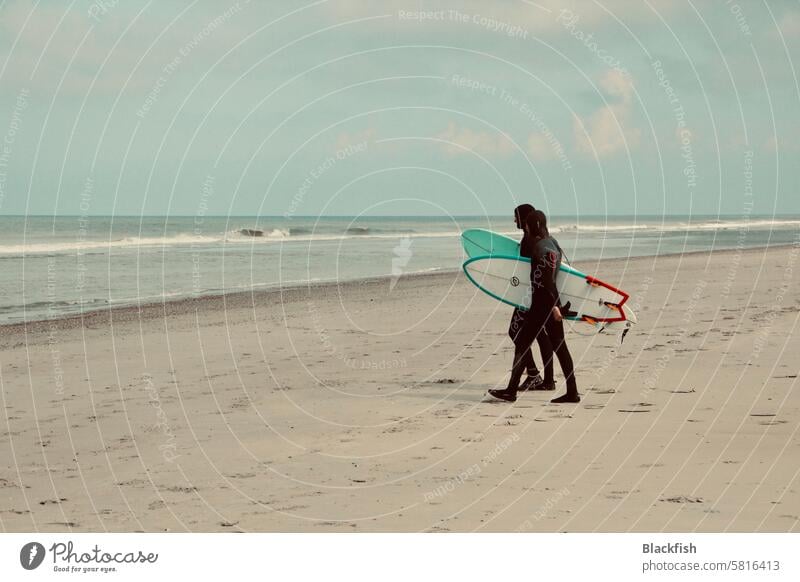 Surfers on the beach go to the sea Beach Ocean Surfing Waves Surfboard Sports coast Aquatics Lifestyle Extreme sports Surfers Paradise Surf school