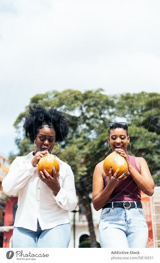 Latin American women having fun in the city drinking coconuts happy young summer female outdoors people leisure lifestyle joyful spring enjoyment hair curly