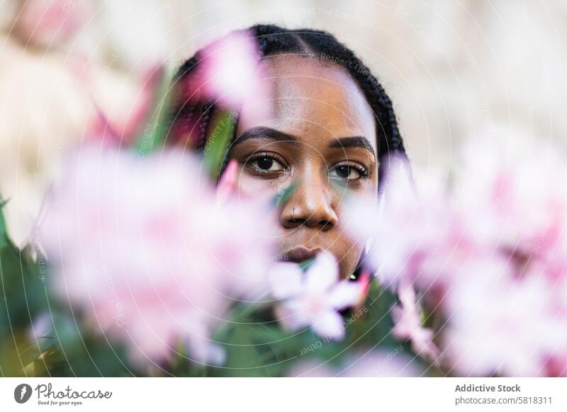 Black female behind fresh flowers woman summer beauty natural blossom flora appearance young ethnic black african american tender style plant bloom relax