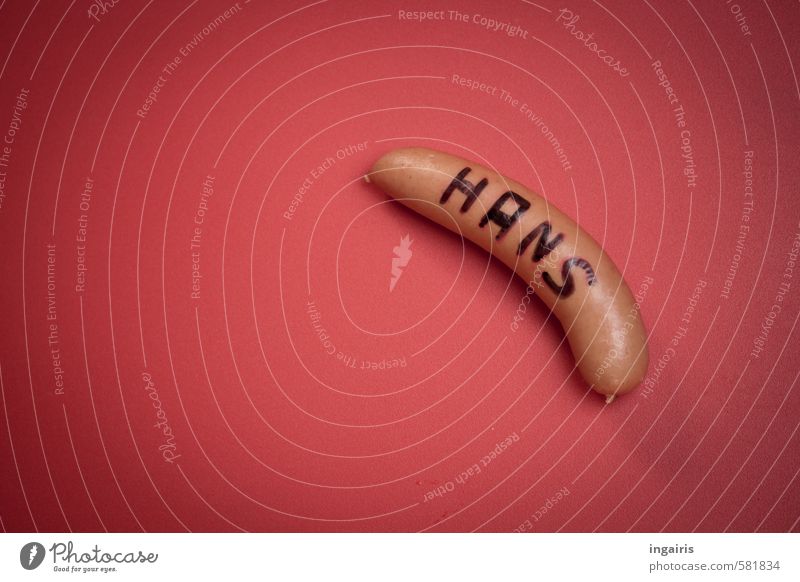 pseudonym Food Sausage bockwurst Ham sausage Nutrition Healthy Sign Fat Original Luxury hanswurst Hans pseudonymous satire Colour photo Subdued colour