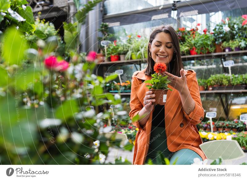 Smiling woman choosing potted flower in garden market center choose pick blossom geranium female bloom plant smile gardener summer natural vegetate flora