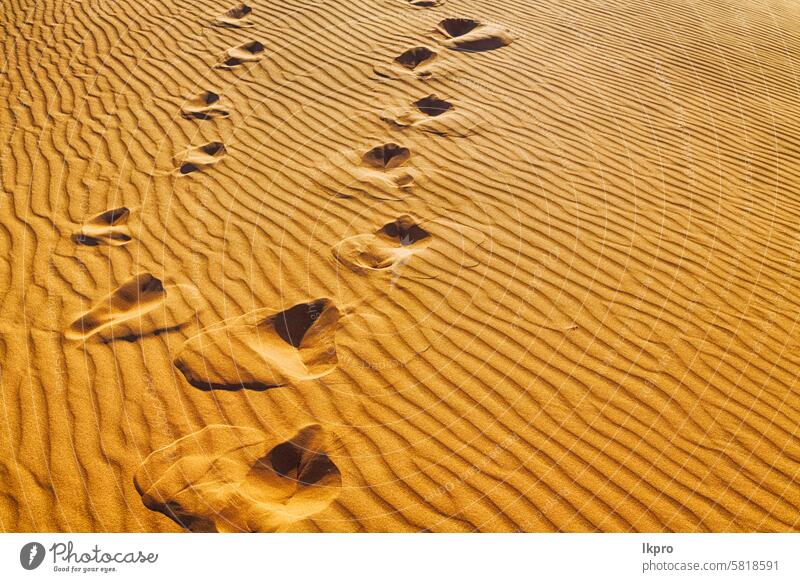 in oman the old desert and the empty quarter abstract  texture line wave yellow arid backdrop background beach black blur broken brown clay climate close-up