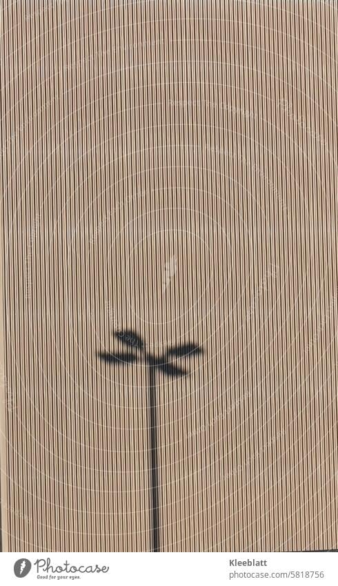 BANAL - Shadow of a light pole on a striped, brown house facade Banal Light and shadow Light poles brown facade House (Residential Structure) Building