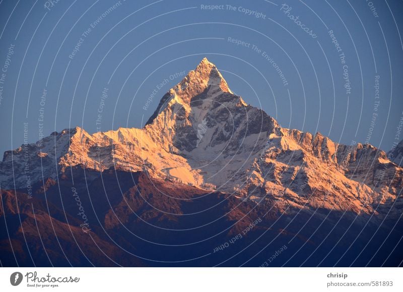 machapucharé Environment Landscape Sky Cloudless sky Sunrise Sunset Sunlight Beautiful weather Snow Hill Rock Mountain Machapuchare Peak Snowcapped peak Glacier